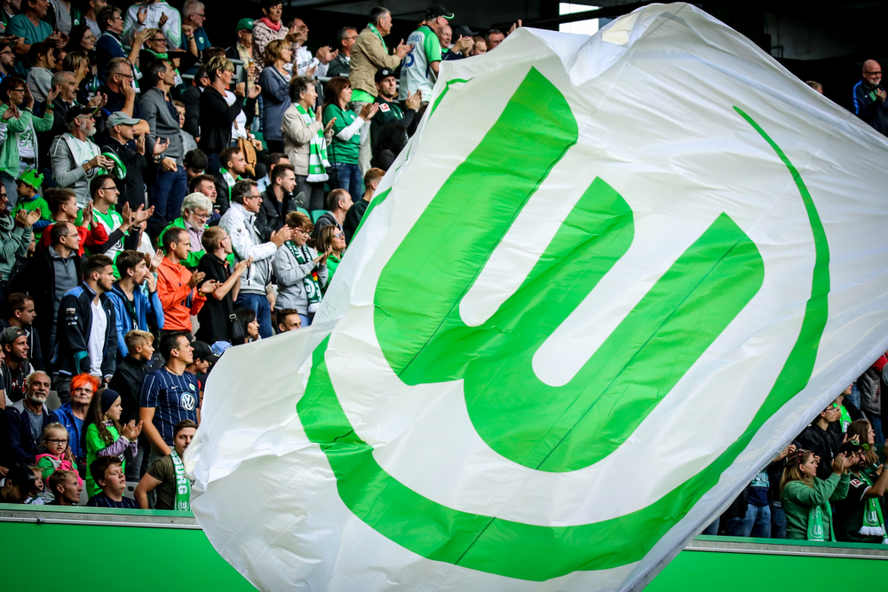 Wolfsburg Fans in der Volkswagen Arena